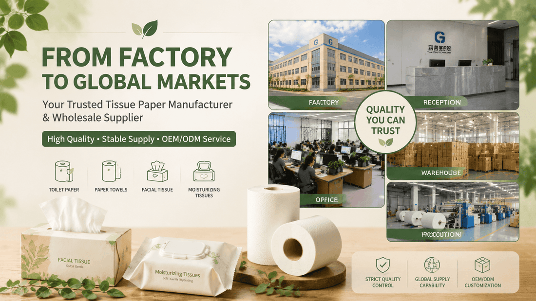 From Factory to Global Markets: A Trusted Manufacturer of Toilet Paper, Paper Towels & Facial Tissue